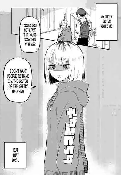 Ore no Koto ga Daikirai na Imouto ga Kowai | My Sister Who Cannot Stand Me Is Scary