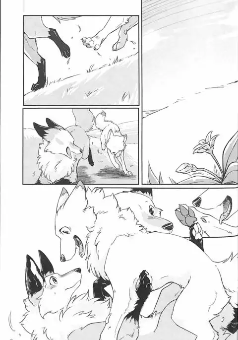 Yume Utsutsu Lovage | 林间小夜曲