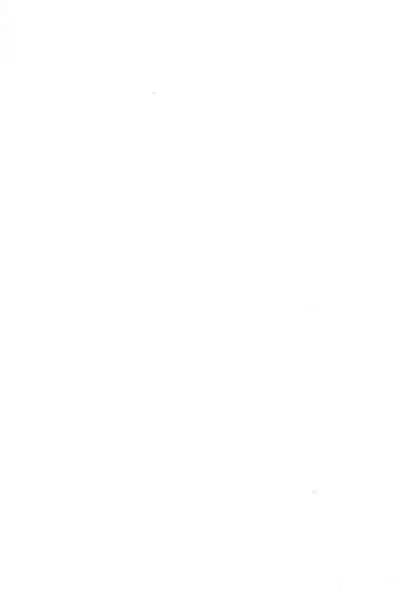 (C54) [Muchiri Club, Kanamedan (Various)] GAME HEROINE (Various)