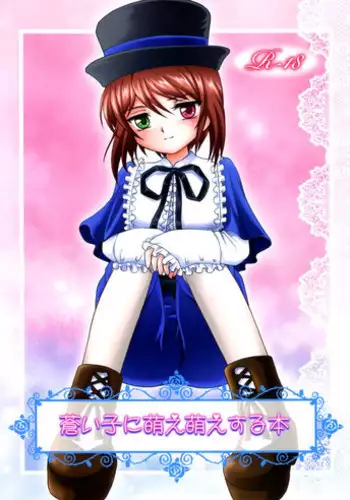 (C78) [sayou (Sakamoto Shin)] Aoiko ni Moe Moe Suru Hon (Rozen Maiden)