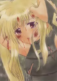 (C75) [TecchiTecchi (YUZUPON)] Nanoha no Zettai Zetsumei Special 2 (Mahou Shoujo Lyrical Nanoha)