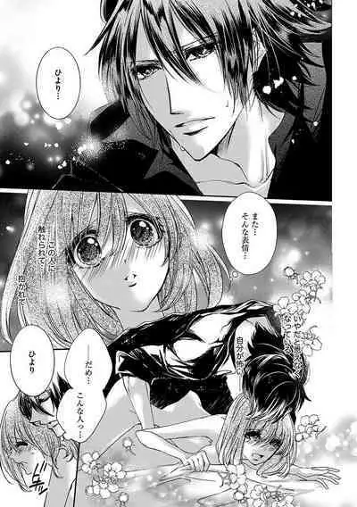 鬼畜兄弟の悶絶調教～私はいいなり奴隷～