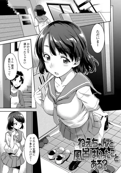 Ai ga Nakutemo Ecchi wa Dekiru! - Even if There is No Love You Can H!