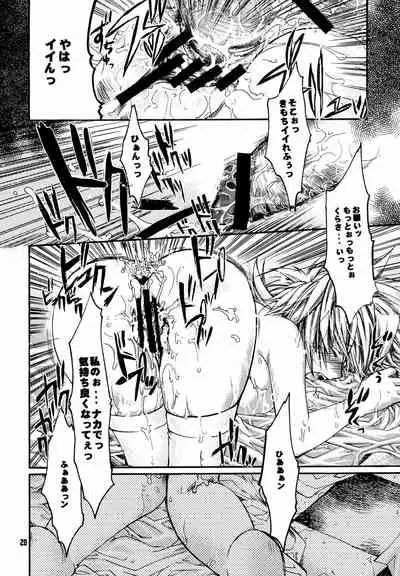 (C63) [Seinansei ni Kagayakeu Hoshi (Morino Papiko)] Shuuen no Nai Yoru o Mukaete (Hellsing)