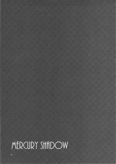 MERCURY SHADOW Soushuuhen+α