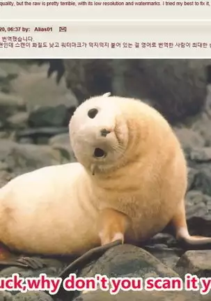 Shiroiro Reincarnation - White Reincarnation