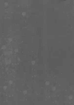 Waffle Doumeiken SAO Soushuuhen red