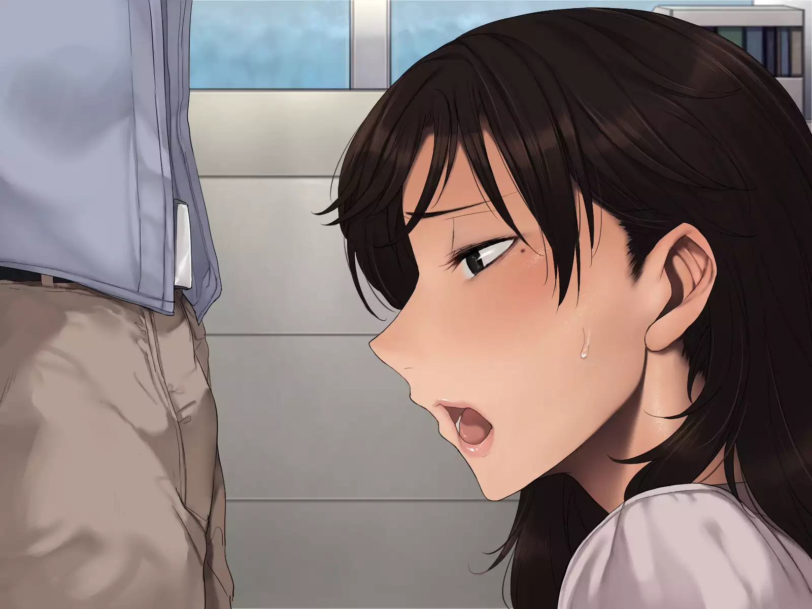 Buka no Tsuma ~Netotte Ninshin, Nakadashi Furin~