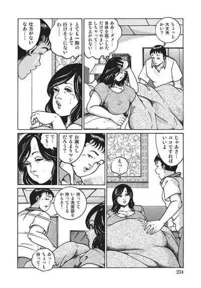 人妻艶熟ものがたり
