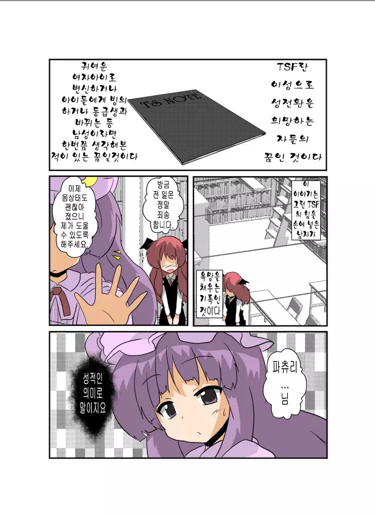 Touhou TS Monogatari ~Patchouli hen~