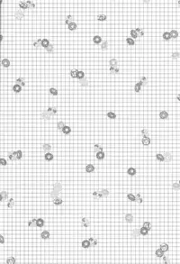 [OtowamureGO!GO!, Onichikusyou (Nimoda Ai, Chinpaipai)] Tomodachi na noni Oishisou (Kuroko no Basuke)