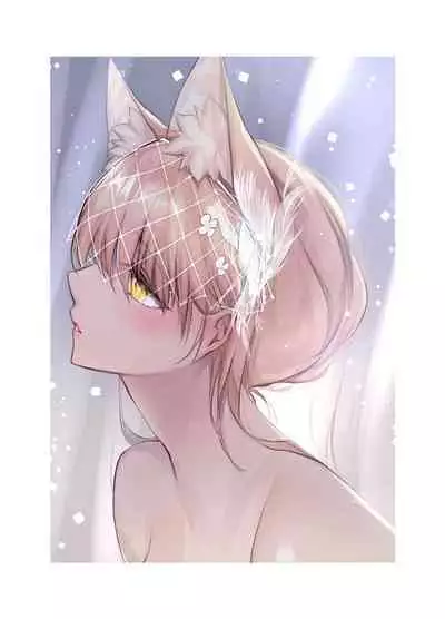 Irui Konintan Soushuuhen