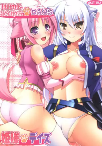 (C80) [K-Drive (Narutaki Shin)] Hime-sama Days (Dog Days) [English] =TV=