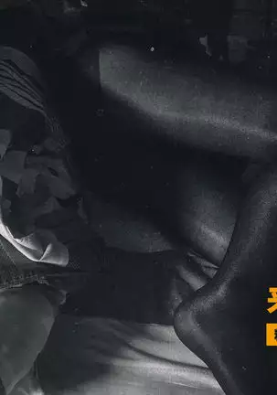 Nippon Shuusaku Vol.2