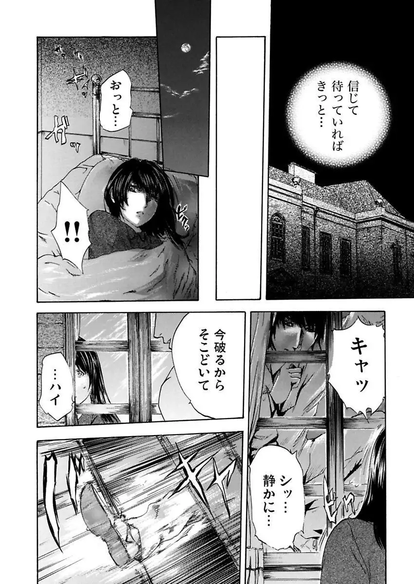 絶望妻~不倫禁止!!