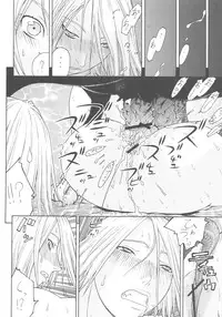 [From Japan] FYC R11Y (Various)