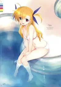 (C74) [TRI-MOON! (Mikazuki Akira!)] PASSION -karakore 2- (Mahou Shoujo Lyrical Nanoha)