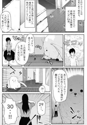 ペケーニャ2