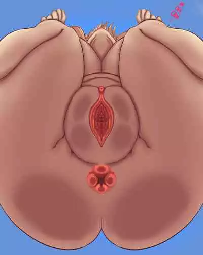 [质yitiaomiao] A SAO game where you can't equip costumes [English][Decensored](Ongoing)