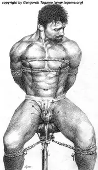 Gallery of tagame gengoroh