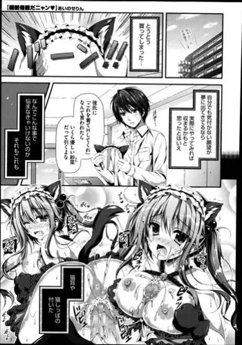 金毛獅子変成猫