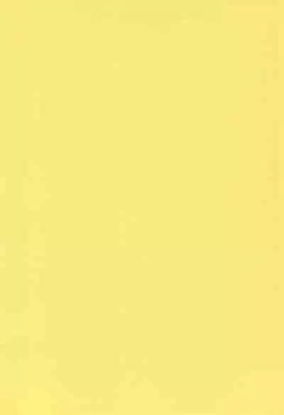 (Puniket 7) [Akinasuya (Kumo Shou Yama Hikari Shou)] Fuwafura Session (Ojamajo Doremi)