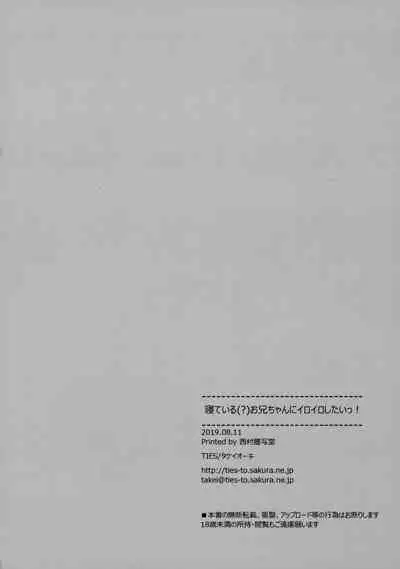 (C96) [TIES (Takei Ooki)] Neteiru (?) Onii-chan ni Iroiro Shitai! | I Want to Do Lots of Things With My Sleeping Onii-chan! [English] [TRJR]