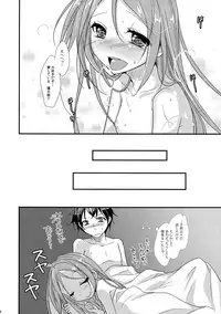 (C86) [skeleton scape (Mikami Sunasara)] little rabbit 2 (Black Bullet)