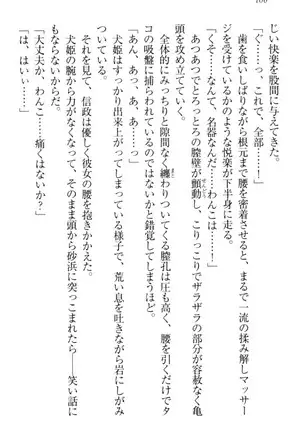 戦国犬姫!