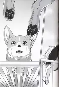 (Kansai! Kemoket 7) [Kaiten ParaDOGs (Diga Tsukune)] Usotsuki Tachi no " " | 讹言者们的“ ” [Chinese] [兔屋汉化组]