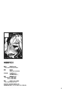 (Reitaisai SP2) [Hannama (Mitsugi, Soine)] Shinreibyou ana EX (Touhou Project) [English] [desudesu] [Incomplete]