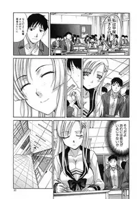 [Itaba Hiroshi] Yasashii Niku no Keitai