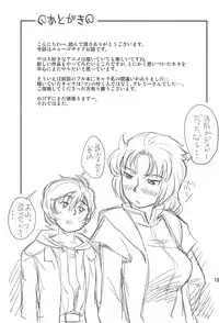 (C91) [Status Doku (Isawa Nohri)] Iino. (Mobile Suit Gundam ZZ)