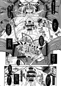 (C81) [Kikyakudou (Karateka Value)] Babar Zone (Touhou Project)