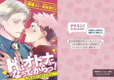 Ecchi wa otona ni natte kara tsu!