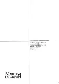 [Mao Ryoka by Hydra] The Matrix of Labirynth [LavixAllen][D.Gray-Man][yaoi]