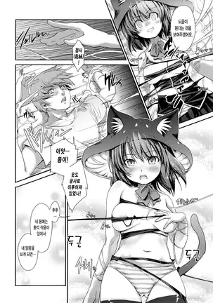 Nekokino to Ame no Machi