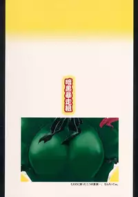 (Reitaisai 11) [Ankoku Bousougumi (Ainu Mania)] Kaenbyou demo Nekodamashi (Touhou Project)