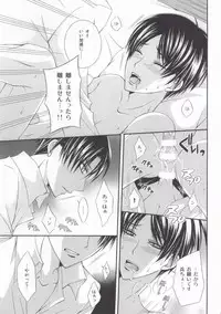 (C87) [DARK-OCEAN (Takagi Murasakisui)] Kanjou Control (Shingeki no Kyojin)