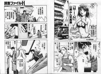 Chousa File H - Investigation File