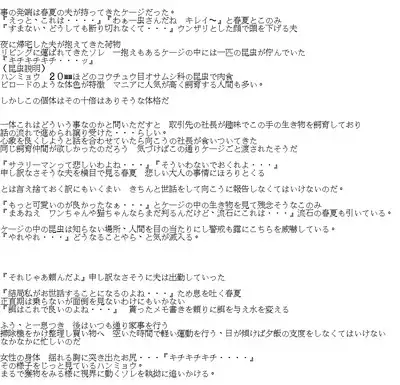 春夏×ハンミョウ