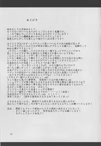 (C94) [Hikari no Tomoshibi (Kousoku)] Maanna no Tokki ga Kininatta node Kaizou Shitemita! (Fate/Grand Order)