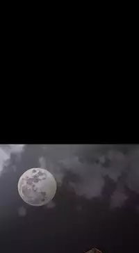 [TB Production] Where the Wind Blows 紅杏出牆 Ch.1-2 [Chinese]