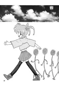 [Thirty Saver Street 2D Shooting] Storage Ignition 2 (Mahou Shoujo Lyrical Nanoha / Magical Girl Lyrical Nanoha)