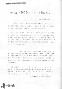 [AKKAN-Bi PROJECT] Card Captor Sakura Complete 2