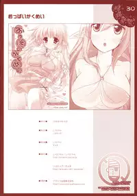 (C74) [Shigunyan, Soyoking (Soyoki)] Oppai Kakumei (Zero no Tsukaima)