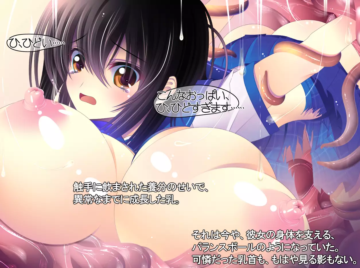 yabure, bakunyu chochichi naedoko ni, benki ni Daraku To sa reru hiroin!~ Hime ￮ setsuna ~