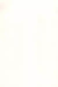 (C89) [EX35 (Kamaboko RED)] Minna ni naisho no setting! (Bakusou Kyoudai Let's and Go!!)