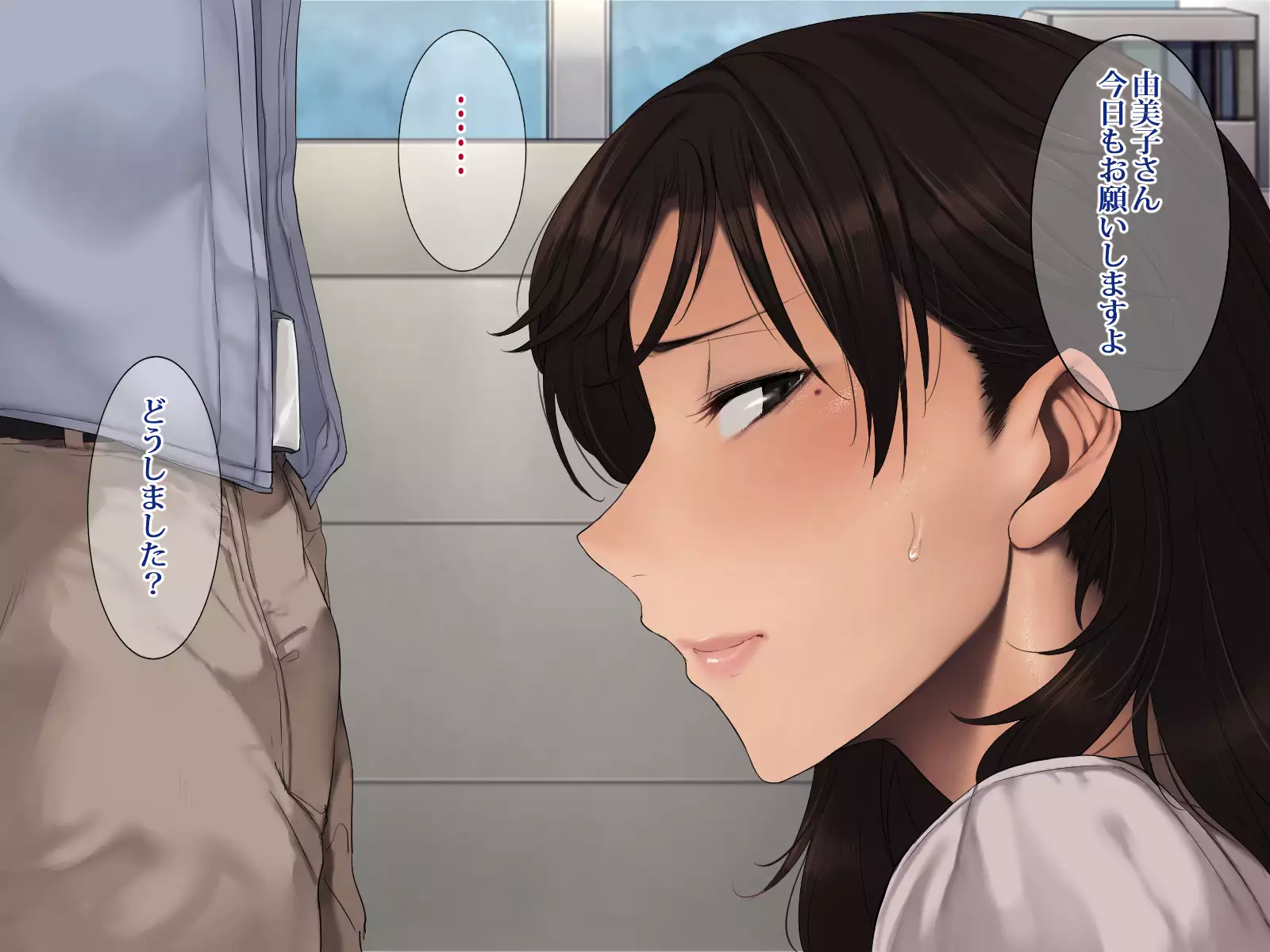 Buka no Tsuma ~Netotte Ninshin, Nakadashi Furin~