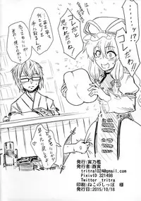 (Shuuki Reitaisai 2) [Torano Ori (Toritora)] Onahotenko (Touhou Project)